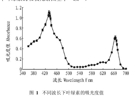 圖1 不同波長下葉綠素的吸光度值