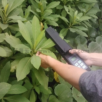 手持活體葉面積測量儀